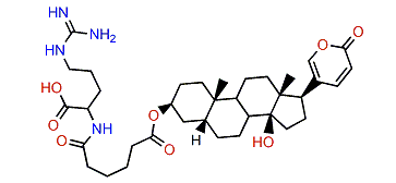 3-(N-Adipoyl argininyl)-bufalin